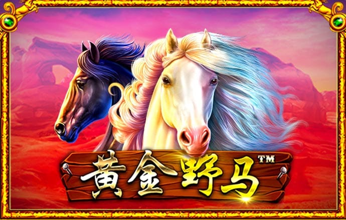 正版澳门49图库资料app下载